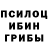 Галлюциногенные грибы Psilocybe Mariam Poghosyan
