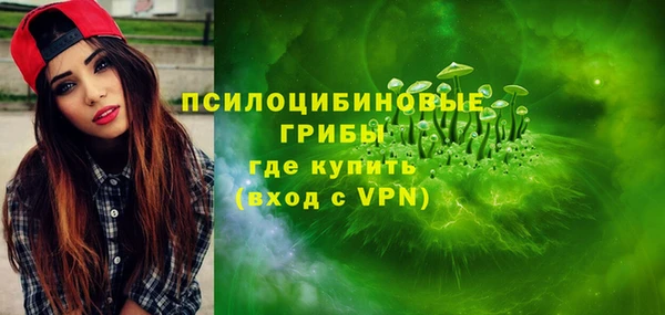 амф Белокуриха